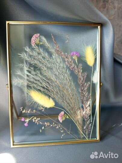 Гербарий в стекле в рамке