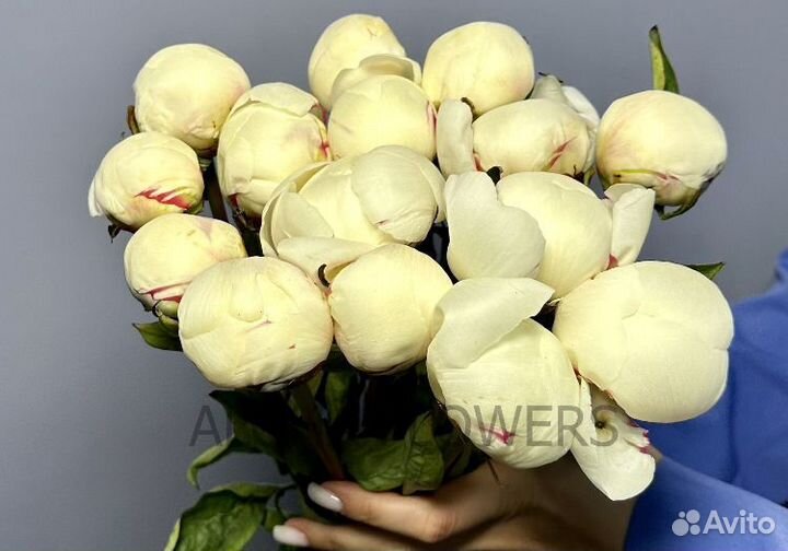 Пионы с доставкой