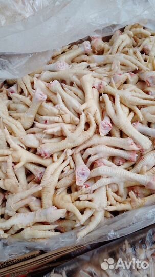 Лапки голва для собаки кошки