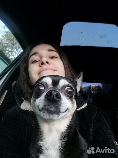 Няня-сопровождающая/ бебиситтер (няня на час)