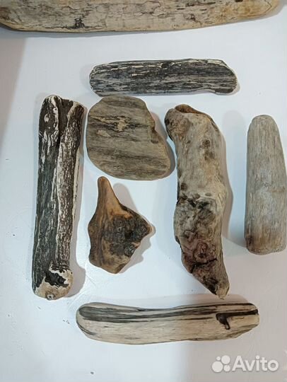 Коряги дрифтвуд