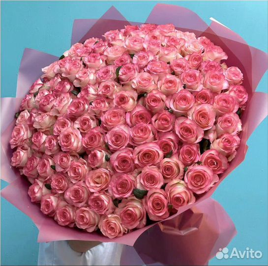 Розы джумилия 101