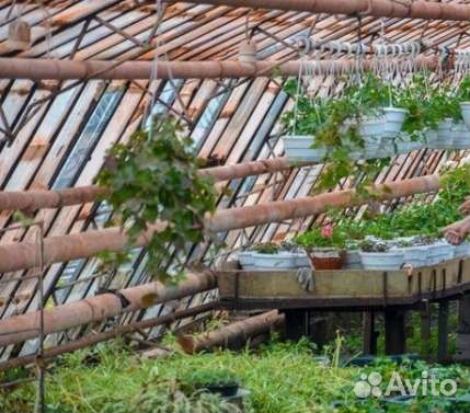 Конский перегной В мешках чернозём