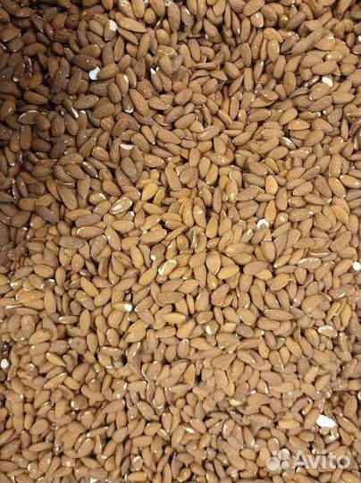 Миндаль оптом