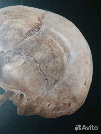 Картина череп