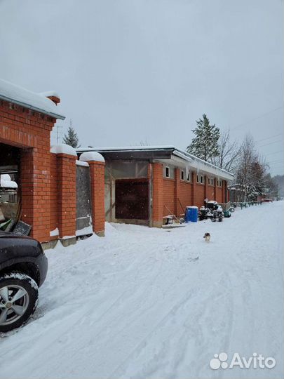 Обучение верховой езде