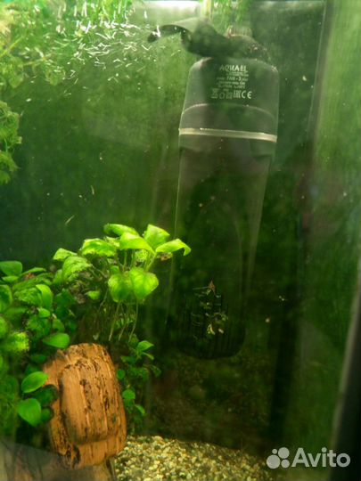 Аквариум на 150 литров