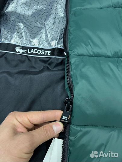 Куртка Lacoste мужская зимняя