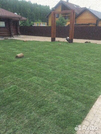 Рулонный газон
