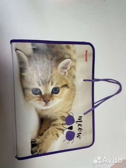 Папка для труда a4с ручками