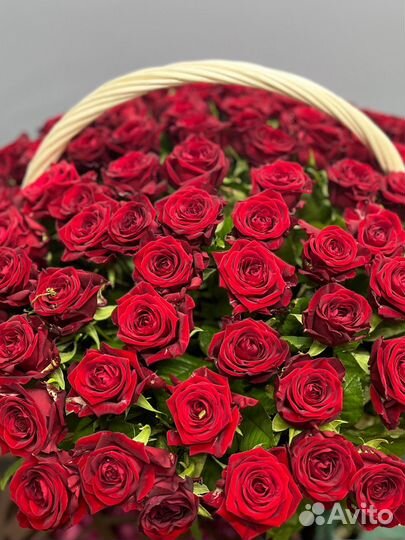 101 Роза в Корзине с Доставкой