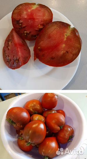Сортовые семена томата