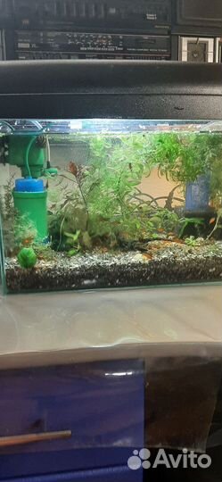 Украшение для аквариума