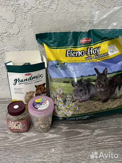 Хомяк с клеткой