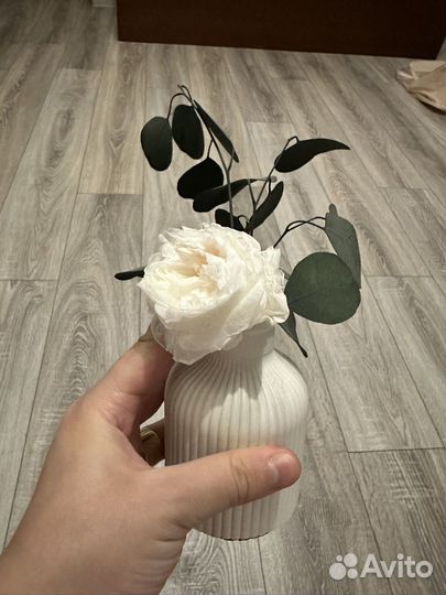 Стабилизированный цветок