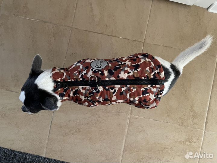 Жилетка на собаку