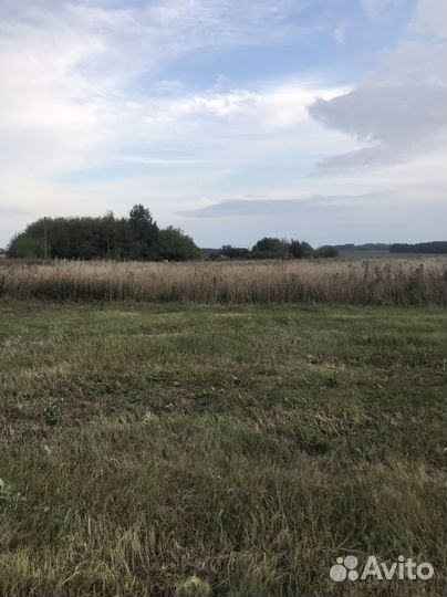 Сено луговое