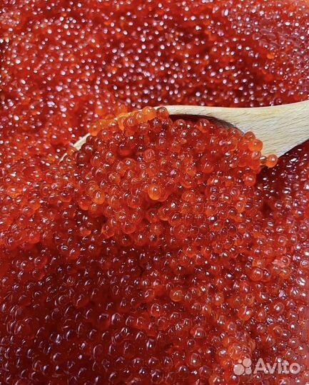 Красная икра Горбуши опт 1000 г