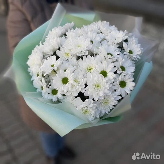 Кустовая Хризантема цветы букет