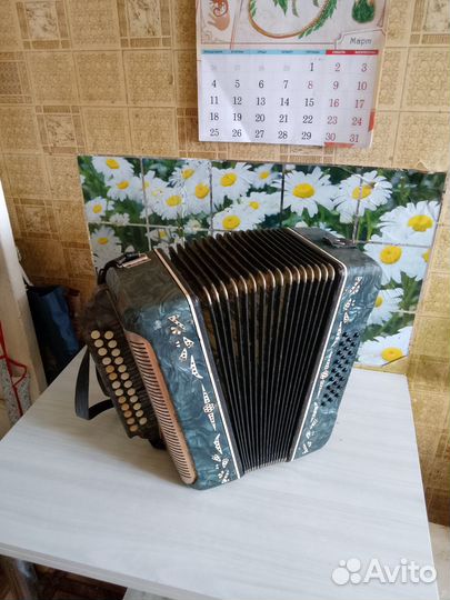 Гармонь беларусь