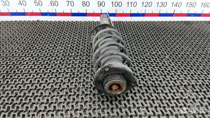 Стойка передняя Volkswagen Golf Plus (2004–2014)