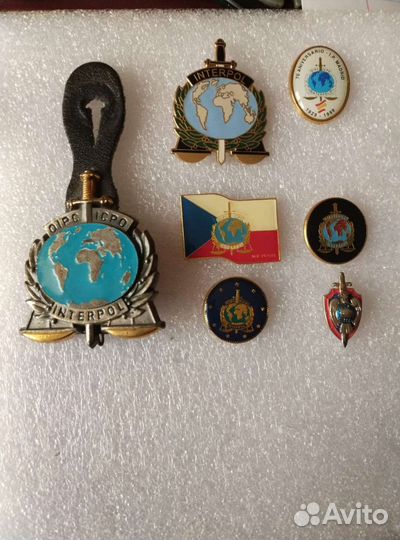 Знаки Интерпола