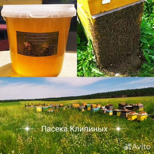 Мёд цветочный, натуральный. Пасека Клипиных