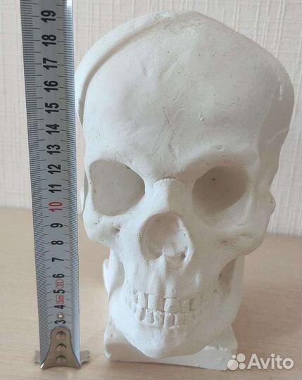 Сувениры в форме черепа