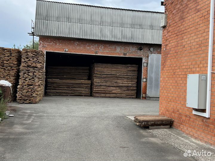 Бук доска сухая