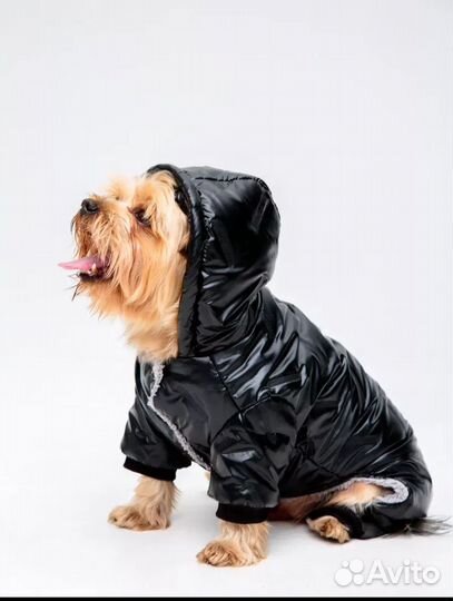 Комбинезон для маленьких собак
