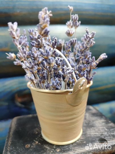 Букет из сухоцветов