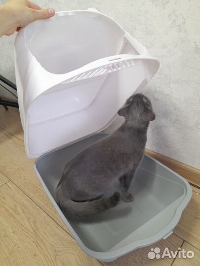 Продаю лоток