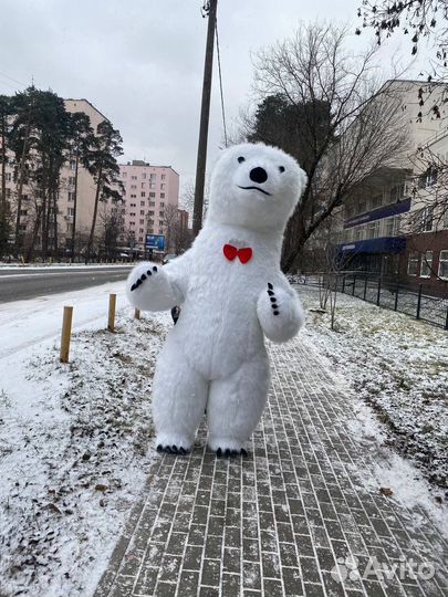 Выступление Белого медведя