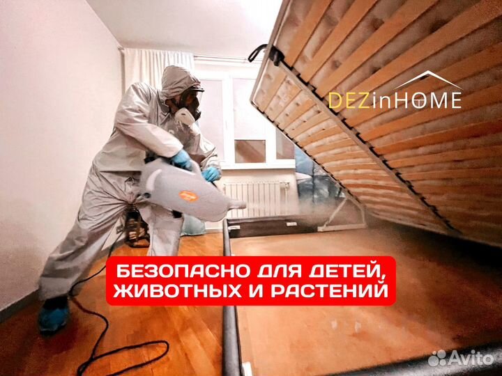 Уничтожение клопов тараканов / Дезинфекция