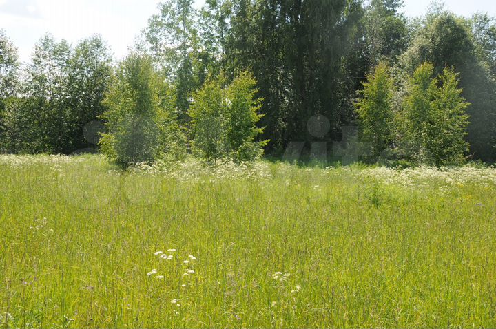 Участок 4,9 га (СНТ, ДНП)