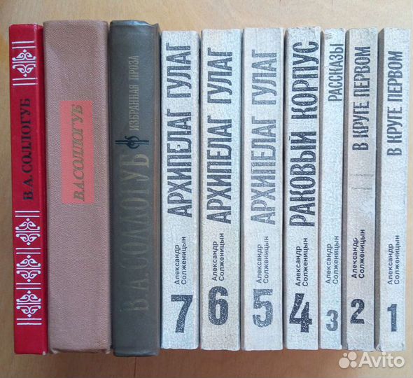 Моноклон. В. Сорокин. 2010