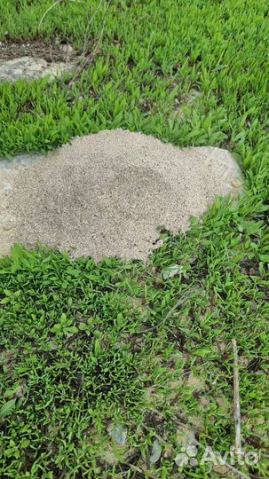 Рыбная мука