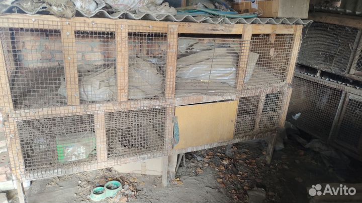 Клетки для кроликов