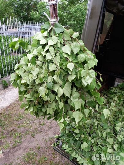 Банные веники