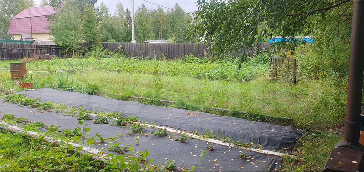 Дача 20 м² на участке 6 сот.