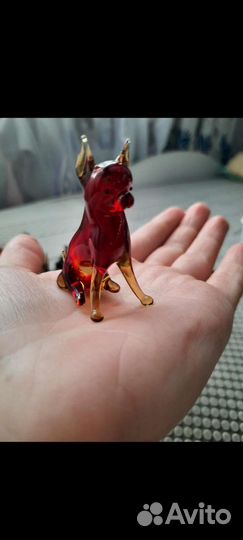 Породы собак