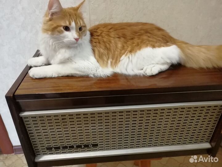 Катушечный магнитофон