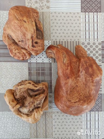 Кап березовый