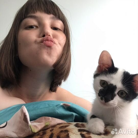 Догситтер,гостиница для животных