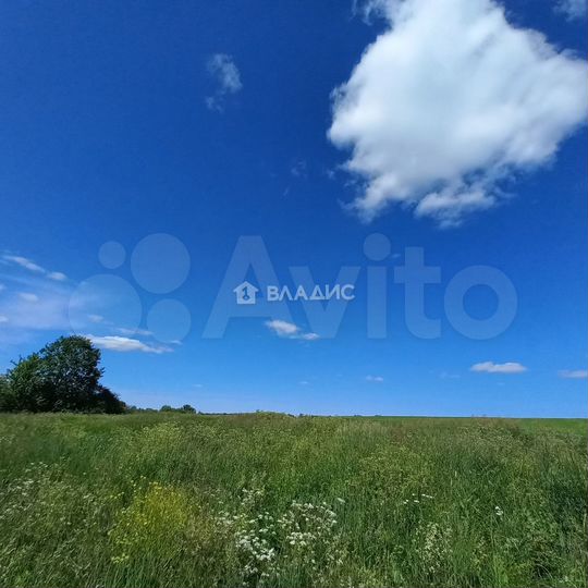 Участок 21,5 сот. (ИЖС)