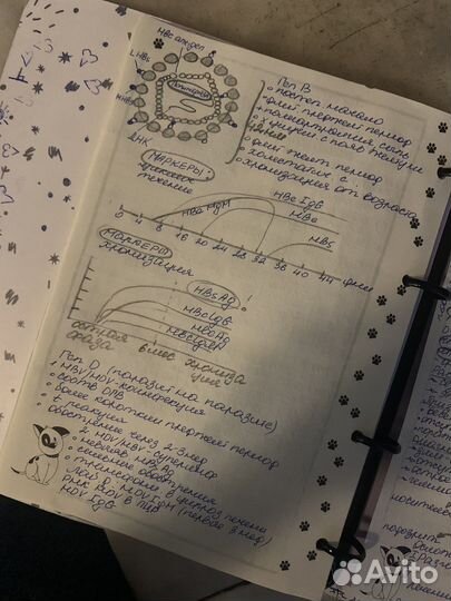 Написание конспектов