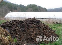Коровий навоз (лежалый не жижа.) большой камаз
