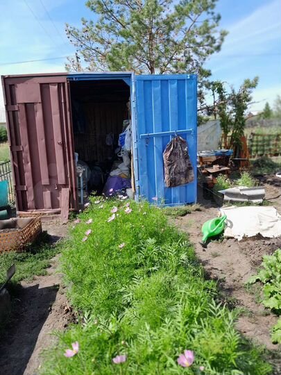 Участок 6 сот. (СНТ, ДНП)