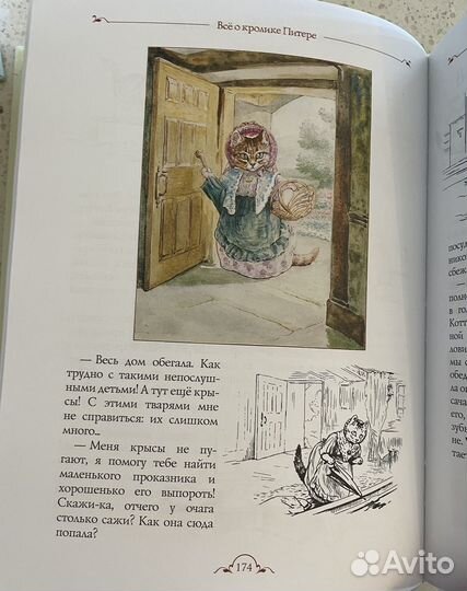 Все о кролике Питере