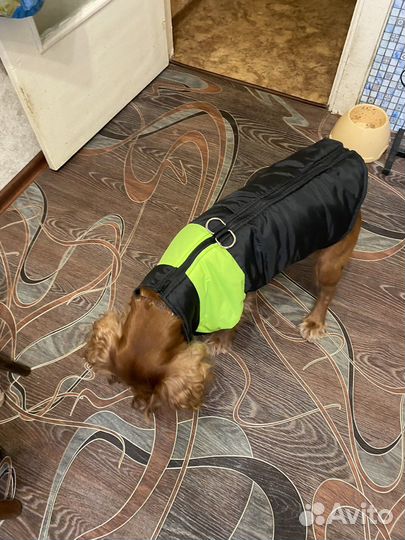 Куртка для собаки